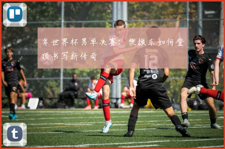 年世界杯男单决赛：樊振东如何登顶书写新传奇
